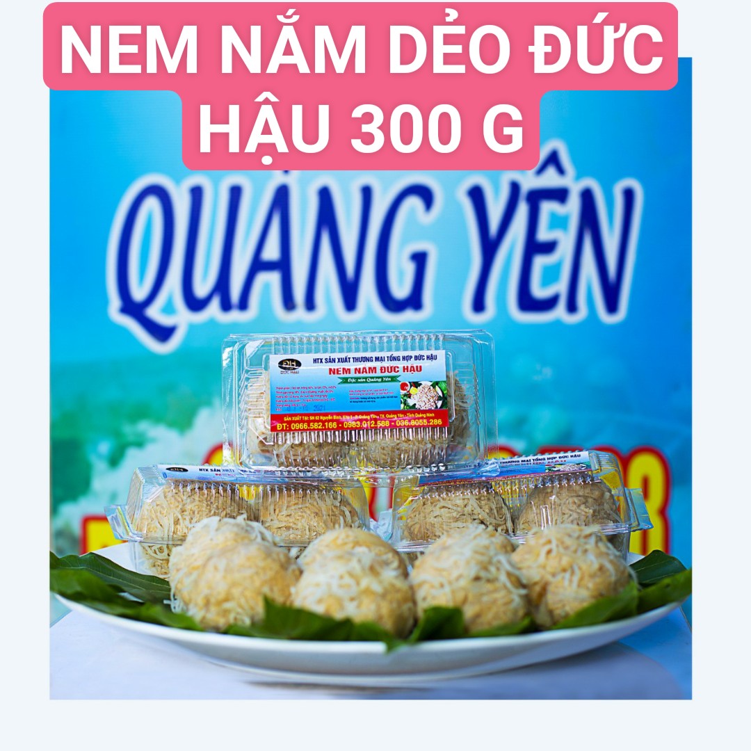 Nem nắm dẻo Đức Hậu 300g